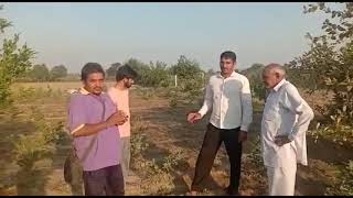 अमरूद में नेमाटॉड का पूर्ण नियंत्रण, complete control of nematodes in guava