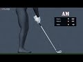 right knee bend in the golf swing pros vs ams