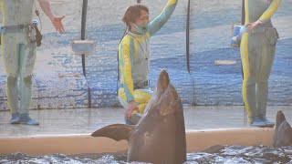 2022.02.11 16:00 今夜はイルカNight[ルイ] [新江ノ島水族館]