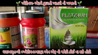 #organic #dharamrut-p #platinum #shaft_nf (કૃષિ જીવન અમૃત એટલે પાક નું સંપૂર્ણ જૈવિક સમાધાન 🌱