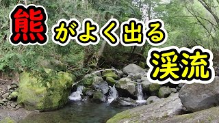 【渓流ルアー】開田高原　単独釣行で新規開拓。熊がよく出る渓へ･･･。To the valley where bears often appear...