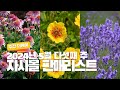 📌주간 더케이📌 5월의 마지막 주,  겹에키네시아 세일은 이번 주까지입니다!