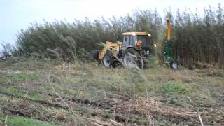 Ny Vraa JF Z192 willow harvester