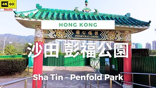 沙田 彭福公園 4K | Sha Tin - Penfold Park | DJI Pocket 2 | 2023.10.31