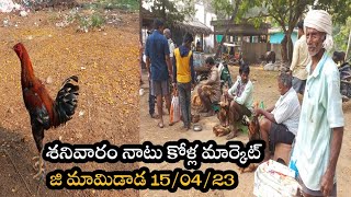 Saturday Nattukolla market || శనివారం నాటు కోళ్ల మార్కెట్ జీమామిడాడ|| Kollamaket 15.04.23