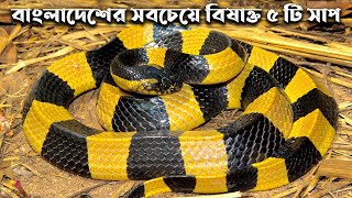 বাংলাদেশের সবচেয়ে বিষাক্ত এবং ভয়ংকর ৫টি সাপ | Top 5 Most Venomous Snake in Bangladesh