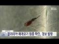 질병관리청 말라리아 매개모기 원충 확인 경보 발령 20240807