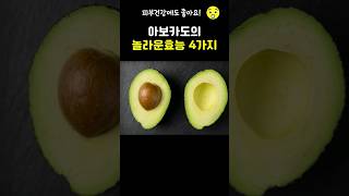 아보카도의 놀라운 효능 4가지 #아보카도 #avocado