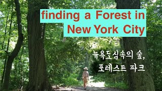 #뉴욕여행 뉴욕도심의 자연숲, #포레스트 공원 산책 Finding a forest in New York City #forestpark #뉴욕 #뉴욕여행