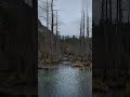 長野　上高地　自然探勝ゾーン　nagano kamikochi exploring zone　紅葉　autumn leaves🍁