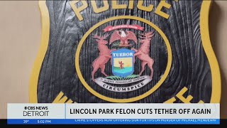 Wayne County man with extensive criminal record arrested after removing tether