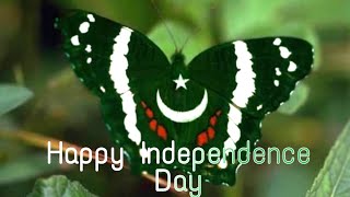 Independence Day WhatsApp Video Status | Pakistan- 14 August! | 14 August -Independence Day |#status