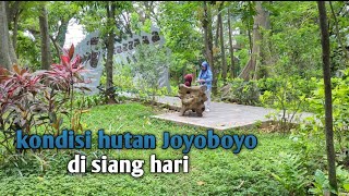 explore hutan di tengah kota || hutan joyoboyo