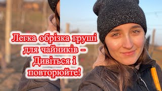 Не обрізайте грушу, поки не подивитеся це відео!