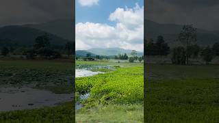 EP413 Wow Beautiful View in Countryside, Asia, Cambodia #short #youtubeshorts #teaspheap