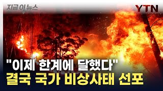 남미 집어삼킨 거대한 화마...국가비상사태 선포에 '아비규환' [지금이뉴스] / YTN