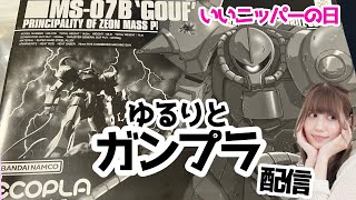 【ガンプラ雑談配信】ひさしぶりにゆるりとガンプラ作りッ！！！！【人間】