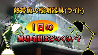 【アクアリウム】照明器具(ライト)の必要性(役割)と適正な1日の照明時間について