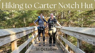 Nineteen Mile Brook Trail to Carter Notch Hut