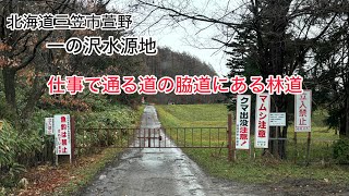 【不法投棄がある林道】マムシにクマも⁉️北海道三笠市萱野、30号線の脇道の先にあった林道。2024年11月