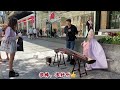 traditional chinese guzheng music 澳洲布村街头古筝演奏：市集！期间遇见一位喜欢弹吉他的小哥哥，对古筝很感兴趣，于是有了这段即兴表演，大家评价一下：他弹得如何呢？