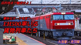 【貨物列車】【EH500 金太郎】目的地まで輸送せよ！ 豪快なオーラを放つ EH500率いる貨物列車たち 2022年3月11日 大宮駅・赤羽駅