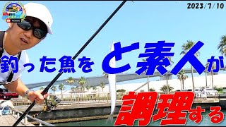 【静岡県新居海釣り公園】でサビキ釣り\u0026調理　[Shizuoka Prefecture Arai Sea Fishing Park] Sabiki fishing \u0026 cooking