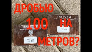 Выстрел дробью на 100 метров: СКМ \