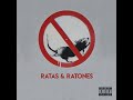 ratas y ratones