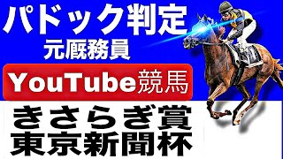 東京新聞杯2025ときさらぎ賞2025を完全予想！今年の注目馬とパドックを元厩務員が徹底解説！