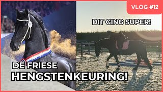 Friese Hengstenkeuring en FIJNE TRAINING 😍💪 | VLOG 12