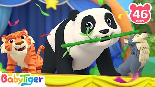 Jungle Theater 🤩 + More Kids Songs🎶 | Nursery Rhymes | Animal Songs | Educational Video - BabyTiger