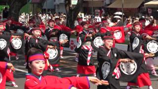 濱長　花神楽　2016よさこい全国大会　追手筋北会場　４K　2016 8 12