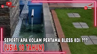 SEPERTI APA KOLAM PERTAMA BLESS KOI ??? ( USIA 10 TAHUN )