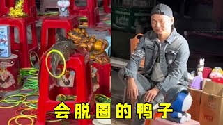 老板养出会脱圈的鸭子，遇到大神，楞的原地发呆【虎哥别闹【圈王】】