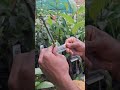 Propagation of Mango plant.🥭🥭 #grafting #gardendesign #graft #gardening ...