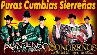 Los Alameños de La Sierra y Sonoreños Del Compa Tico 🎸 Puras Cumbias Sierreñas