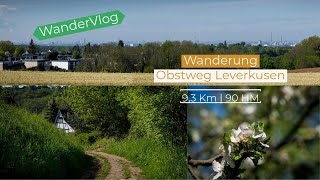 Obstweg Leverkusen | Wandern | 🥾🚶🏼🍎