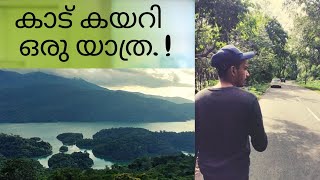 കാട് കയറി, ഒരു യാത്ര..|A Journey Through The Jungle !.🌱