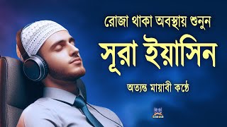 প্রতিদিন সকালের সেরা আমল  সূরা ইয়াসিন  SURAH YASIN l The Best Morning Recitation By Zain Abu Kautsar