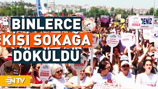 Binlerce Hayvansever İstanbul Yenikapı'da Biraraya Geldi, Tasarıyı Protesto Etti | NTV