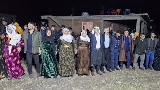 Diyarbakır'da Kürt Düğünü/ Şevko Halay