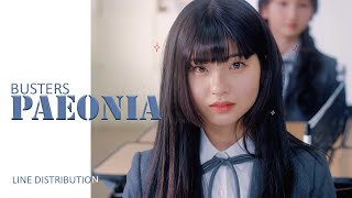 BUSTERS - PAEONIA | LINE DISTRIBUTION