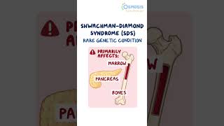 Shwachman-Diamond Syndrome