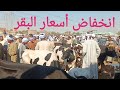 البقر الوالد ببلاش🤔 بسوق السبت اليوم ١٩/ ١٠/ ٢٠٢٤م