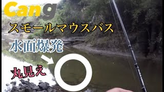 「川バス」スモールマウス水面に出て来て強烈バイト！