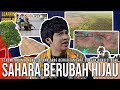 Kenapa Gurun Sahara Tiba-tiba Menghijau? Bagus Atau Bahaya? Pertanda Kiamat? | Learning By Googling