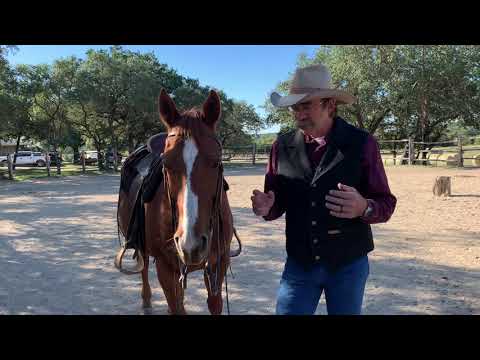 Does a snaffle bit hurt a horse?