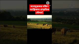 মনোমুগ্ধকর দক্ষিণ আফ্রিকার প্রাকৃতিক সৌন্দর্য #shorts spain