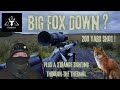 MFL Outdoors - Foxing Night Out On The Fells || Big Dog Fox || Vixen || Plus Something Strange !